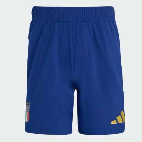 Men's adidas  Blue Italy National Team FIFA x World Cup 2026 Tiro Travel Shorts