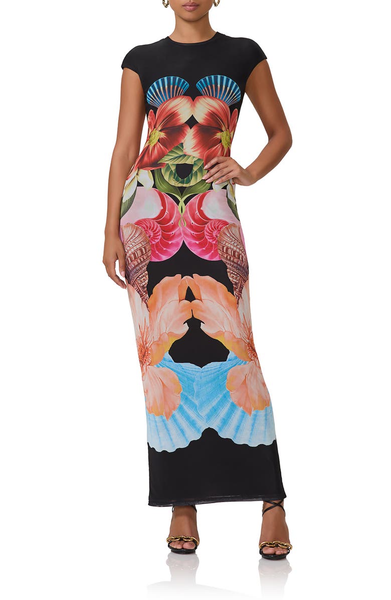 AFRM Cody Print Cap Sleeve Mesh Maxi Dress, Main, color, 
