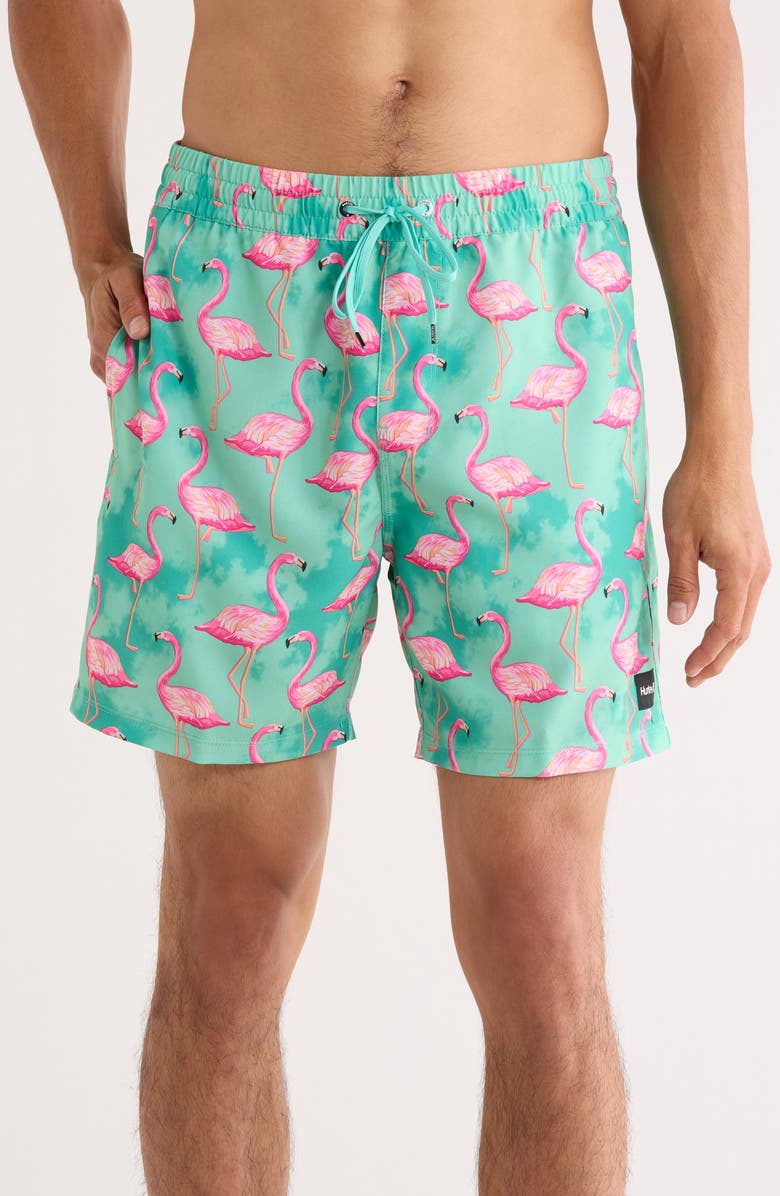 Hurley Cannonball Volley Swim Trunks, Main, color, Fiji 2