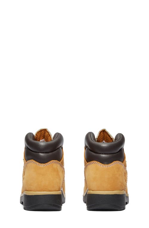 Timberland Kids' Field Mixed Media Boot In Wheat