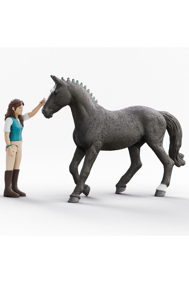 Horse Club Lisa & Storm 7pc Playset, Articulated Rider, Black Horse, Alternate, color, Multicolored