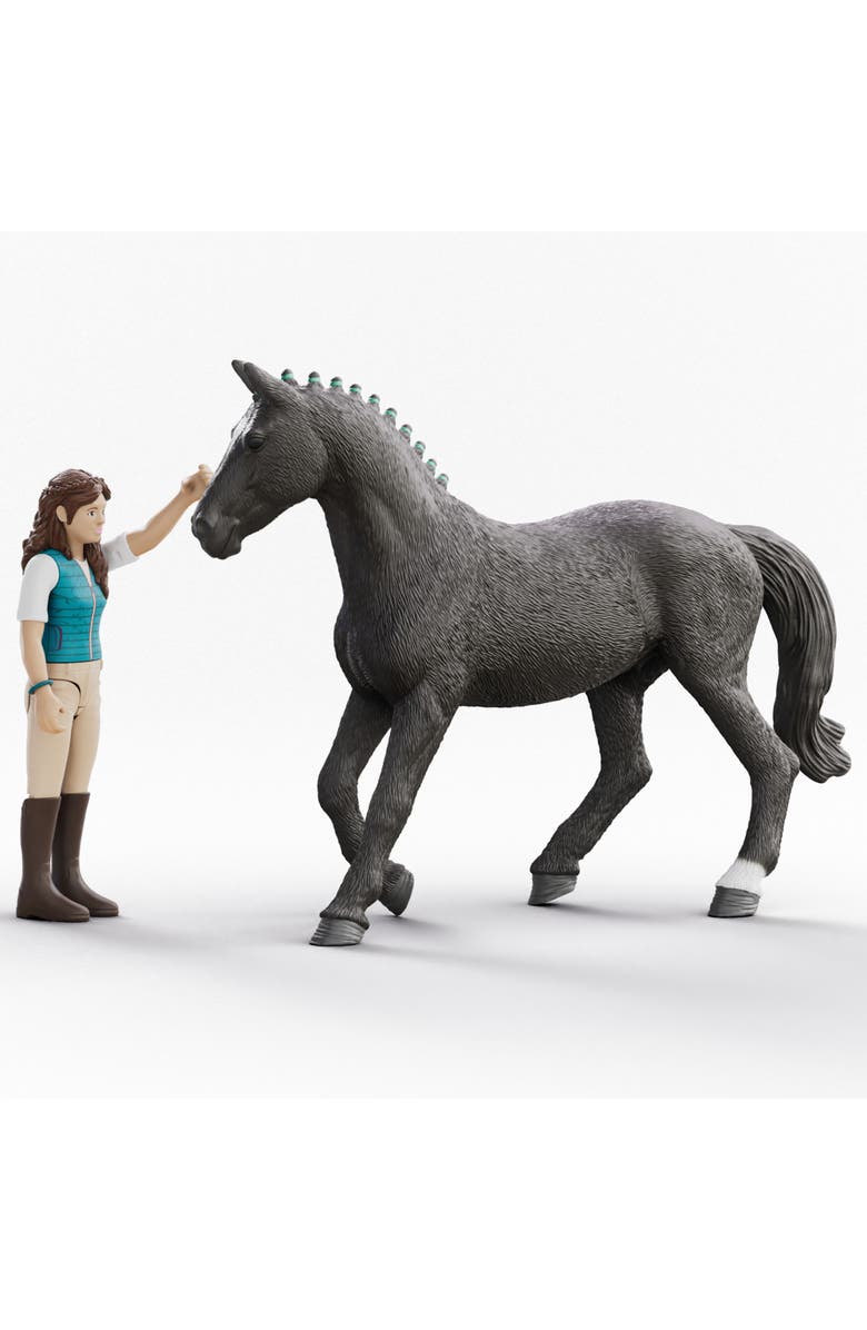 Schleich Horse Club Lisa & Storm 7pc Playset, Articulated Rider, Black Horse, Alternate, color, Multicolored