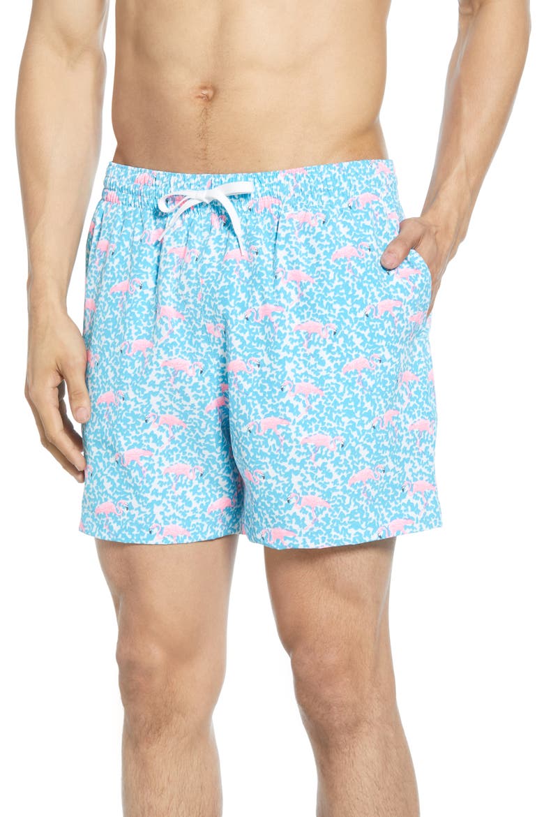 Domingos Flamingos 5.5-Inch Swim Trunks, Main, color, LIGHT BLUE FLAMINGO