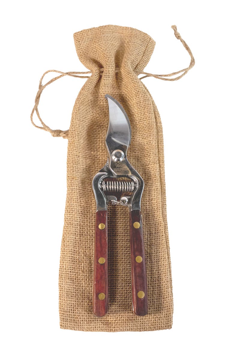 Thai Kitchen & Garden Shears, Main, color, SILVER