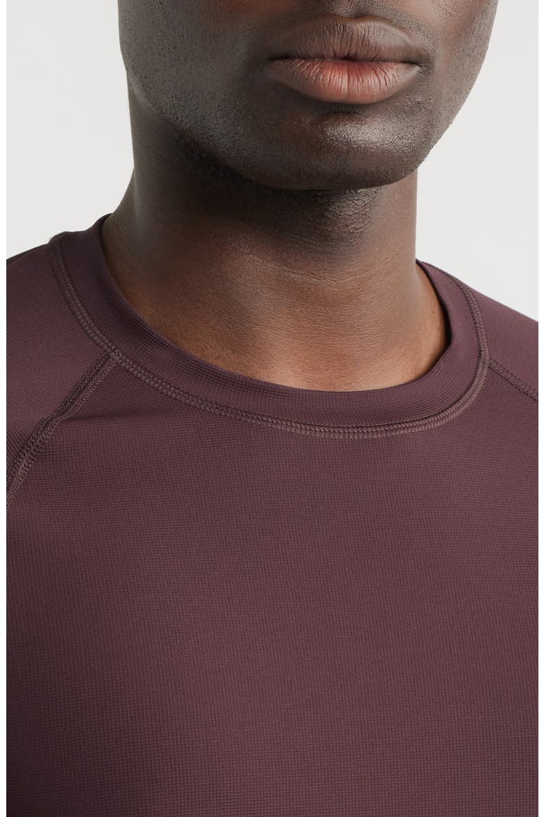 Endurance Performance T-Shirt, Alternate, color, BROWN PLUM