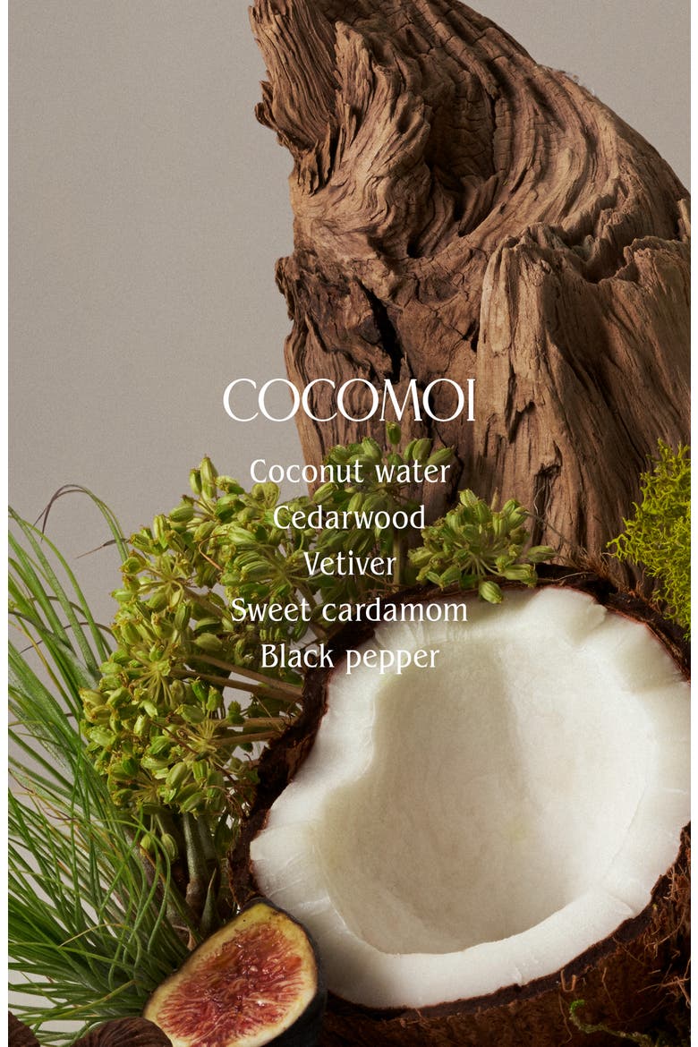 Cocomoi Body Wash, Alternate, color, COCOMOI