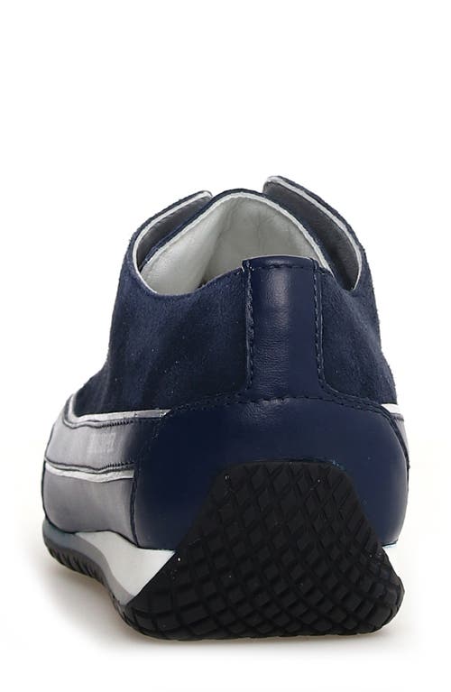 Candice Cooper Janis Strip Sneaker In Navy Blue