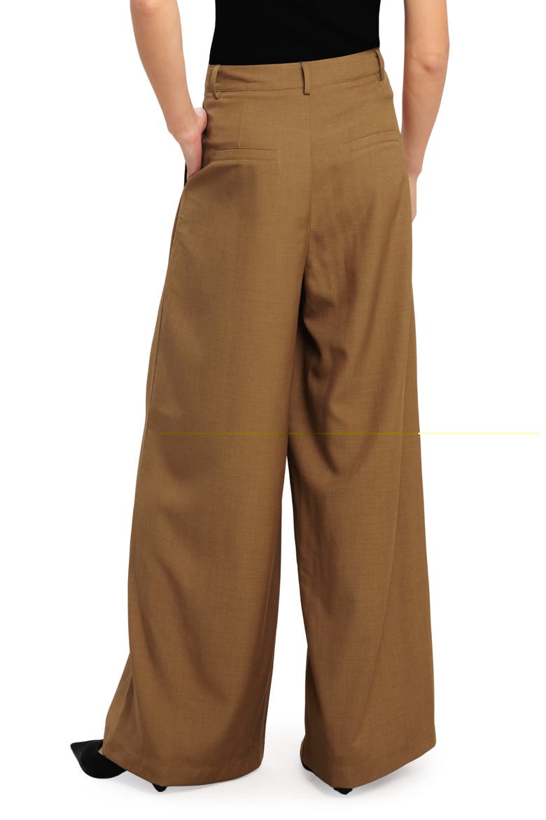 Pleated Wide Leg Pants, Alternate, color, BRICK