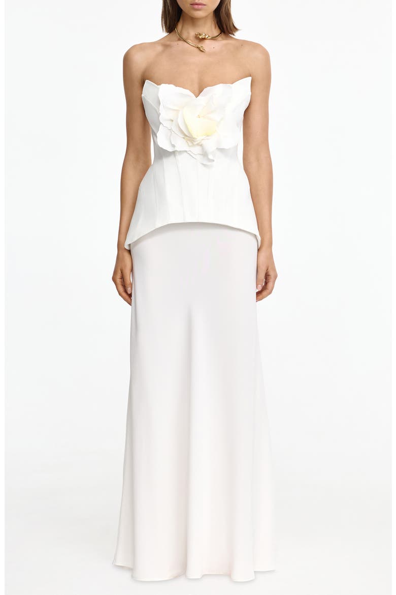 Bankson Floral Appliqué Gown, Main, color, IVORY