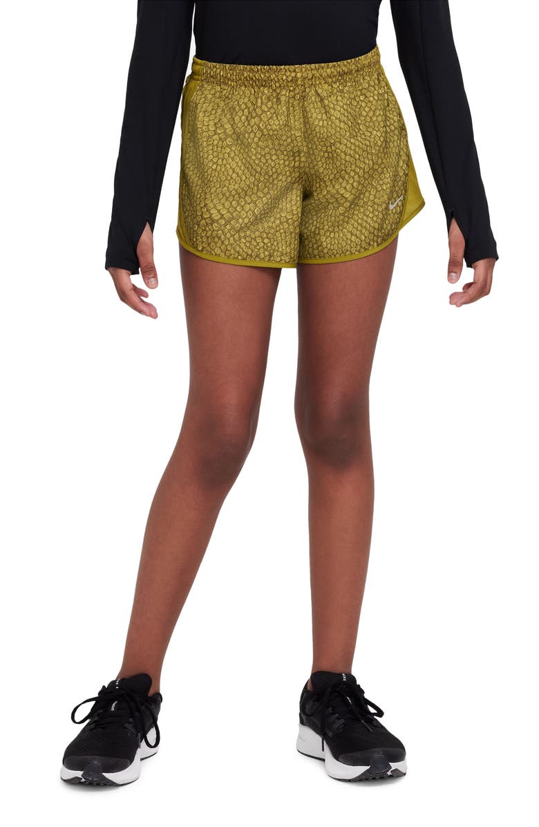 Nike Kids' Dri-FIT Tempo Running Shorts, Alternate, color,