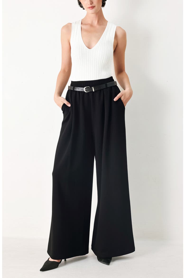 Wide Leg Pants, Alternate, color, BLACK