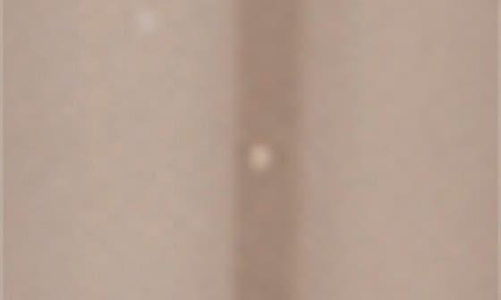 09 TAUPE BROWN