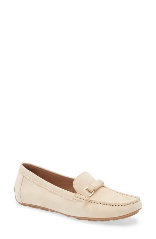 The FLEXX Lionel Loafer in Sabbia Camoscio 