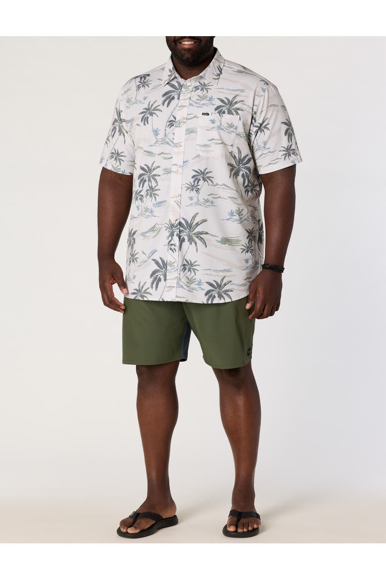 Big & Tall Tropical Print Performance Sport Shirt, Alternate, color, TOFU