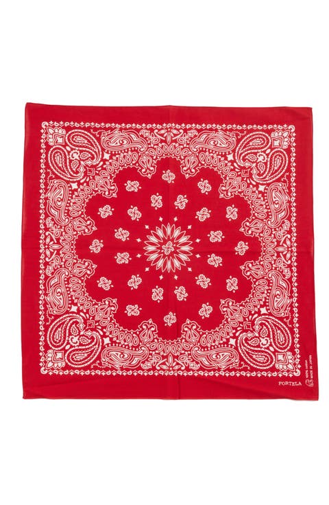 Nautical Modse Bandana