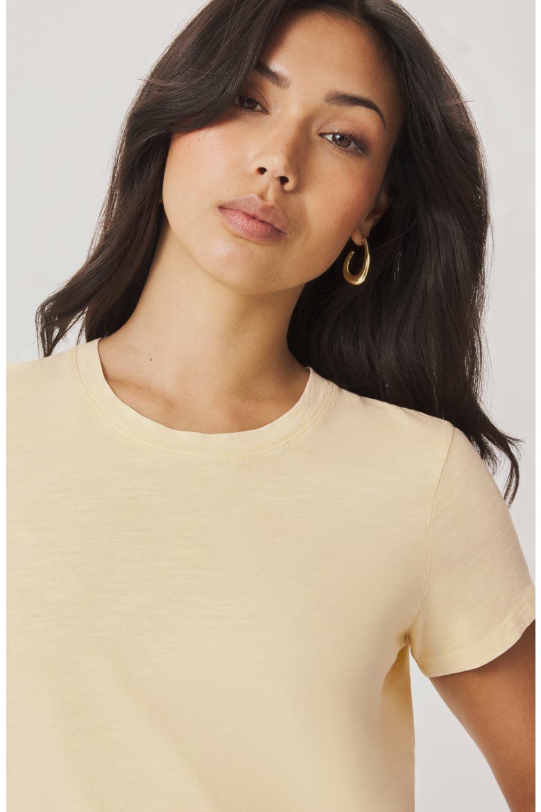 Louisa Short Sleeve T-Shirt, Alternate, color, HONEYSUCKLE BEIGE