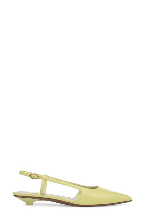 Sarto By Franco Sarto Pheby Slingback Pointed Toe Flat In Green