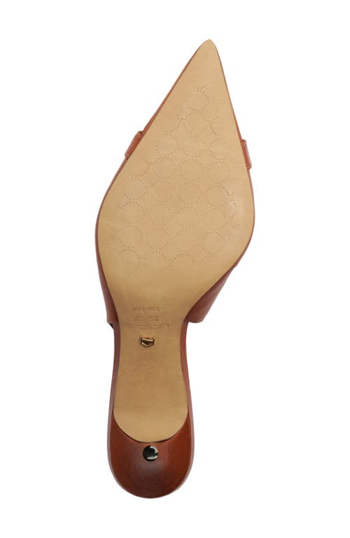Arezzo Felicity Slingback Pointed Toe Pump In Brown