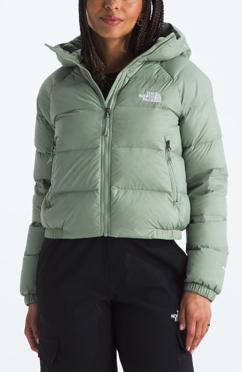 The North Face Hydrenalite Hooded Down Jacket In Burgundy