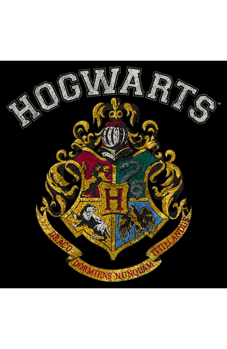 HARRY POTTER Men's Harry Potter Distressed Hogwarts Crest  Graphic T-Shirt, Alternate, color, Black
