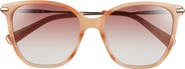Longchamp 54mm Cat Eye Gradient Sunglasses