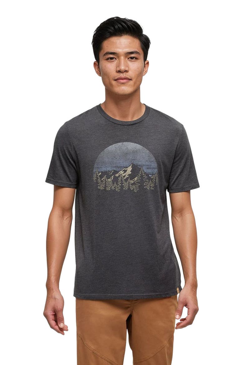 Vintage Sunset T-Shirt, Alternate, color, Meteorite Black Heather