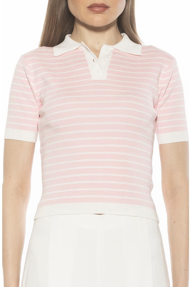 Elani Knit Polo, Main, color, PINK
