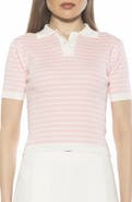 Alexia Admor Elani Knit Polo