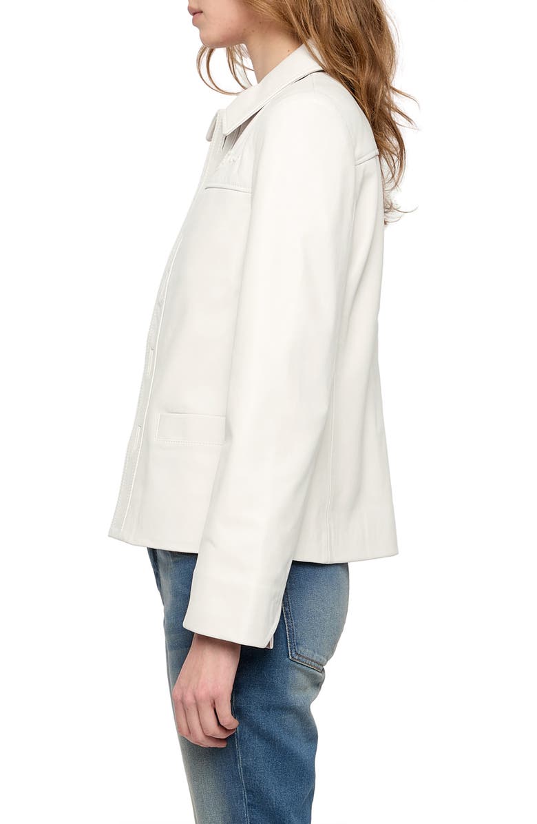 Zadig & Voltaire LIamys Leather Jacket, Alternate, color, Judo