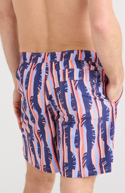 Saxx Go Coastal 2-in-1 Volley 7-inch Swim Trunks In Tropic Stripe-multi