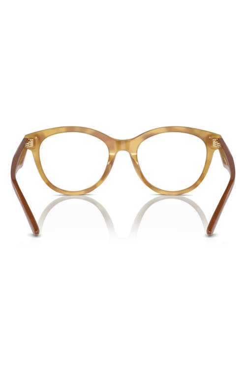 Emporio Armani 52mm Cat Eye Optical Glasses In Gold