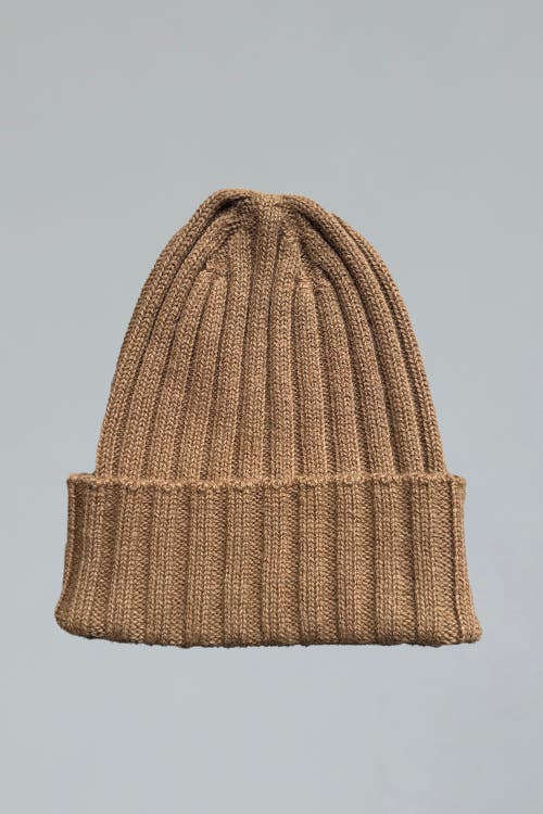 Sskein Ribbed Beanie In Brown