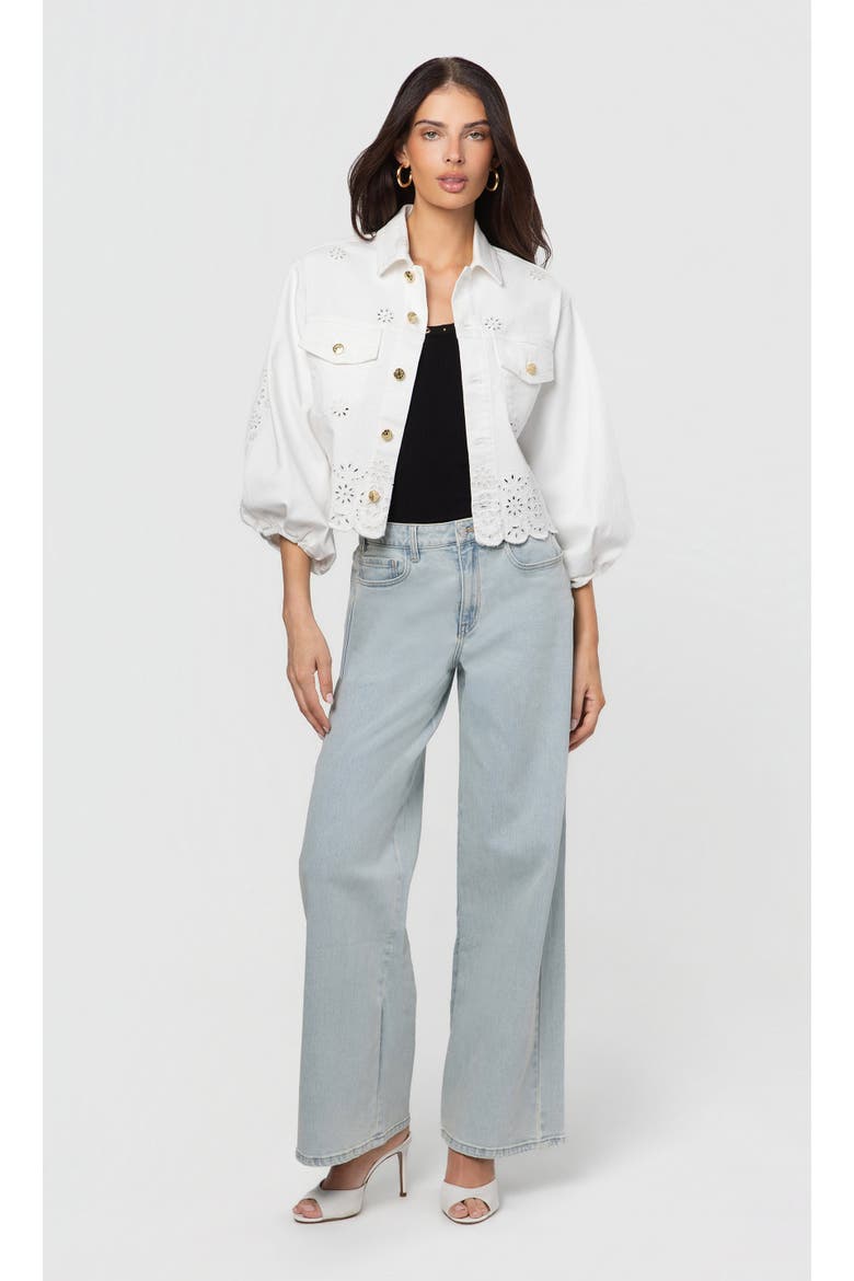 Lumere Embroidered Denim Jacket, Alternate, color, White/Grey Blue