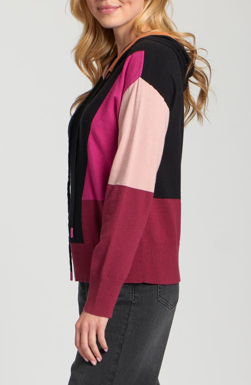 Apny Colorblock Sweater Hoodie In Multi