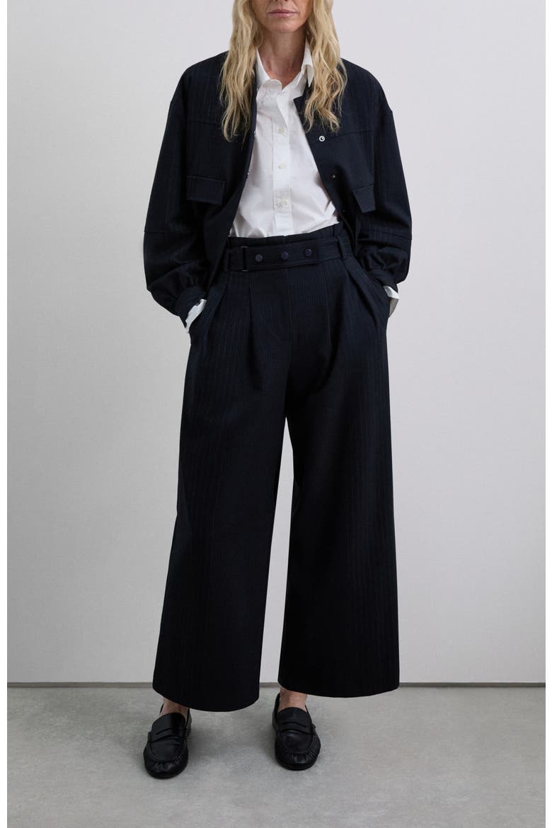 Beltpocket Pant, Alternate, color, Navystripes