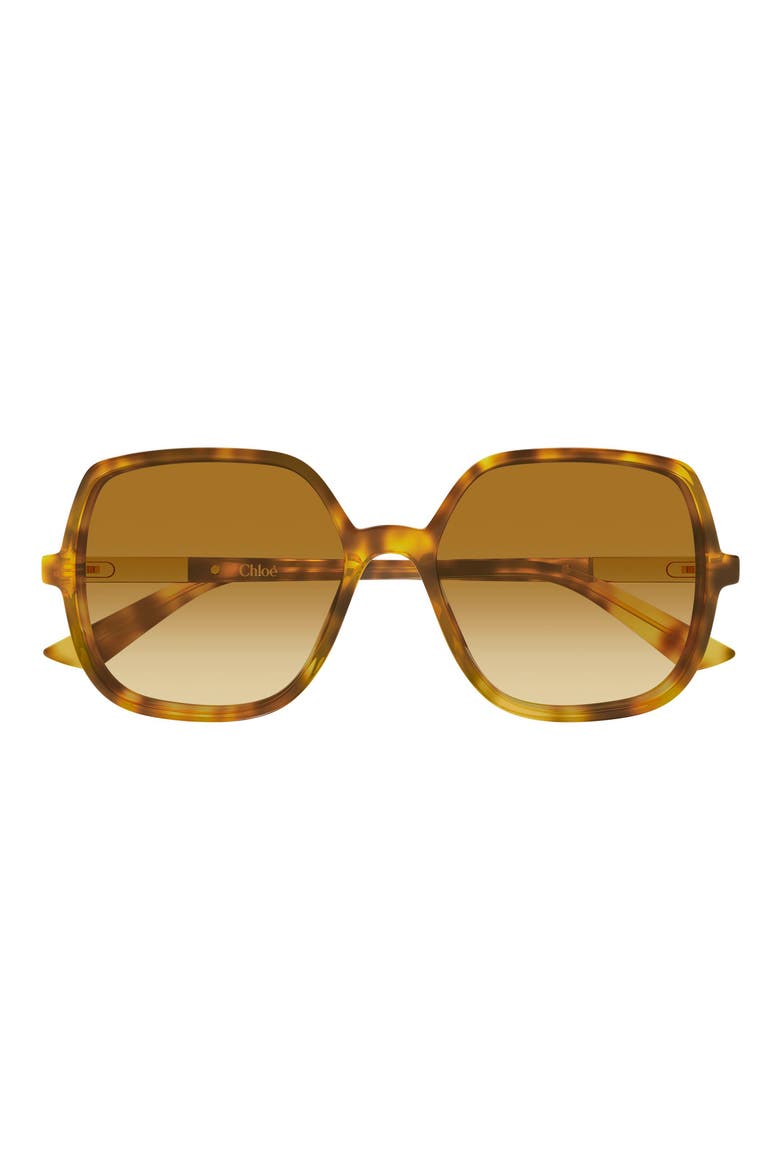 55mm Gradient Geometric Sunglasses, Main, color, HAVANA