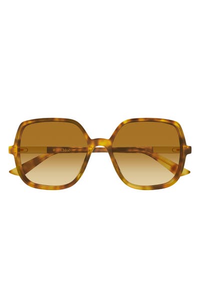 style board product image