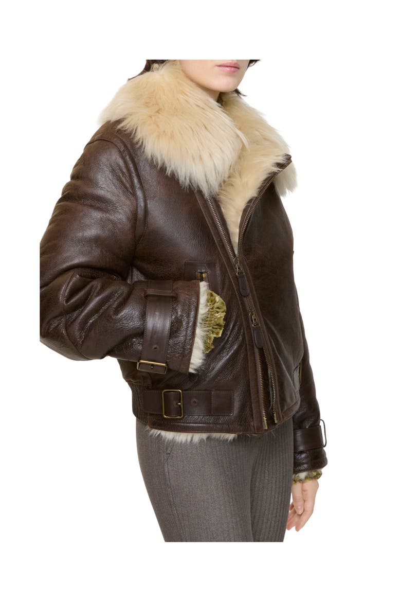 Cropped Shearling Aviator Jacket, Alternate, color, Dark brown