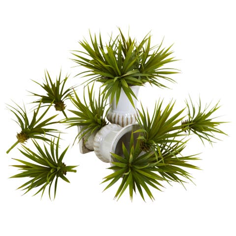 Mini Spiky Agave Succulent Plant (Set of 12)