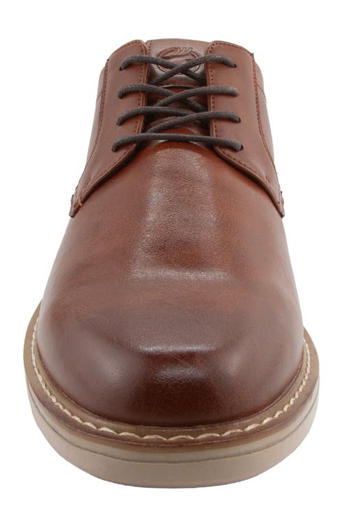 Deer Stags Belmont Plain Toe Derby In Brown