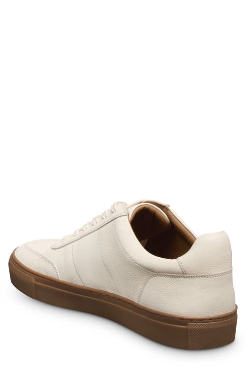 Allen Edmonds Linden Low Top Sneaker In White
