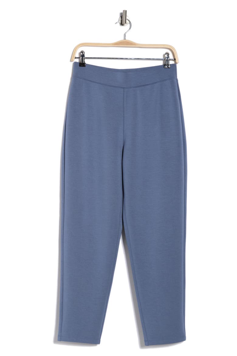 Tapered Pants, Alternate, color, RAIN