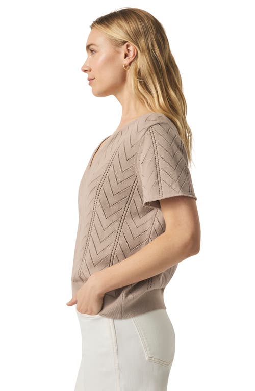 Splendid Sabrina Pointelle Short Sleeve Sweater In Fawn