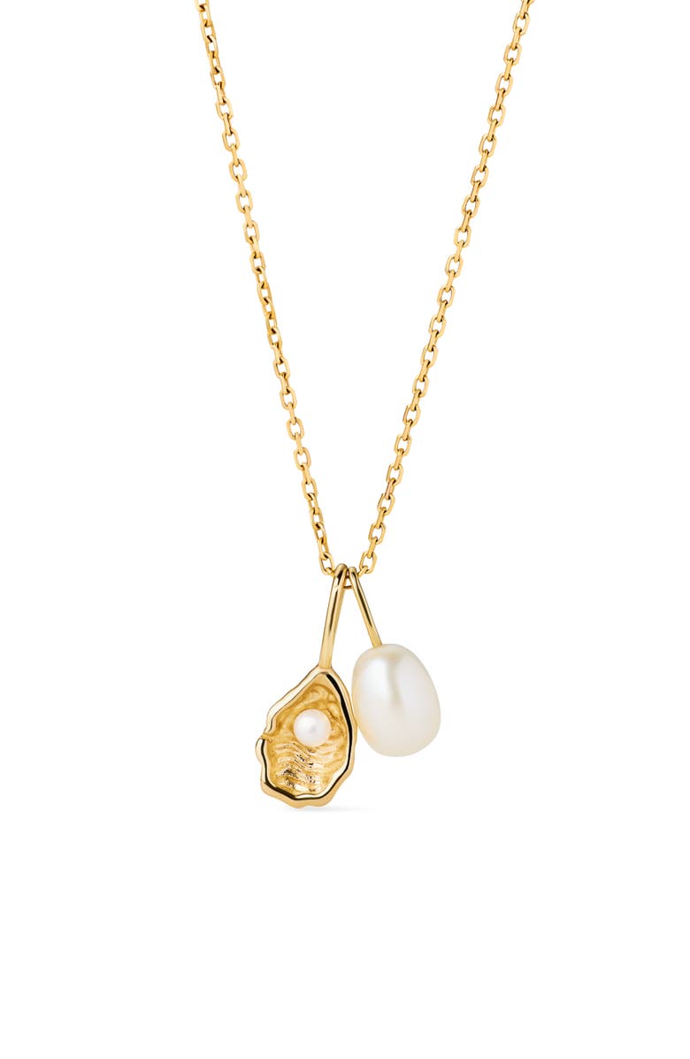 Ana Luisa Solid Yellow Gold - Oyster Charm Necklace, Main, color, Gold