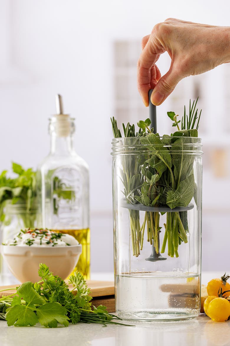 Fresh Herb Keeper, Glass Herb Storage Jar for Fridge, Alternate, color, Clear