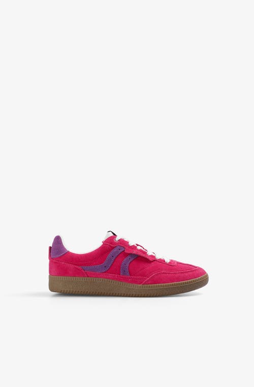 Scalpers Numico Sneakers W In Pink