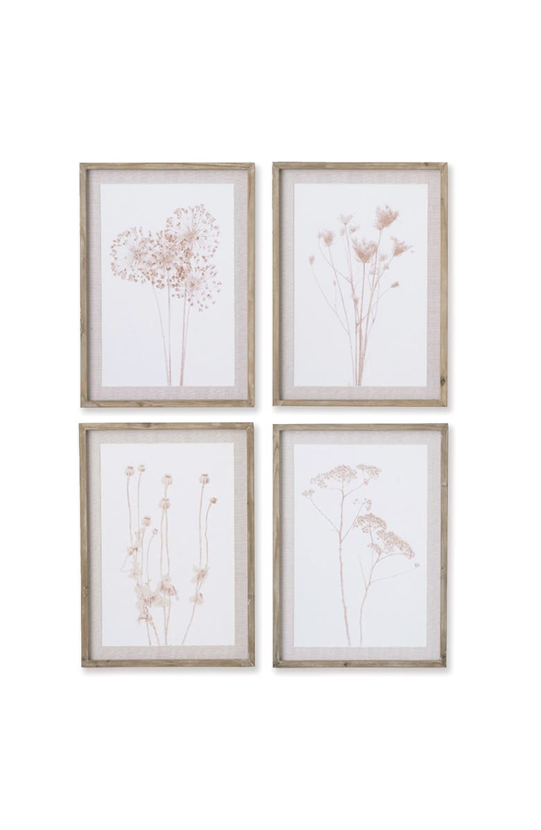 Napa Home & Garden Stylized Botanical Prints Set of 4, Main, color, Pink