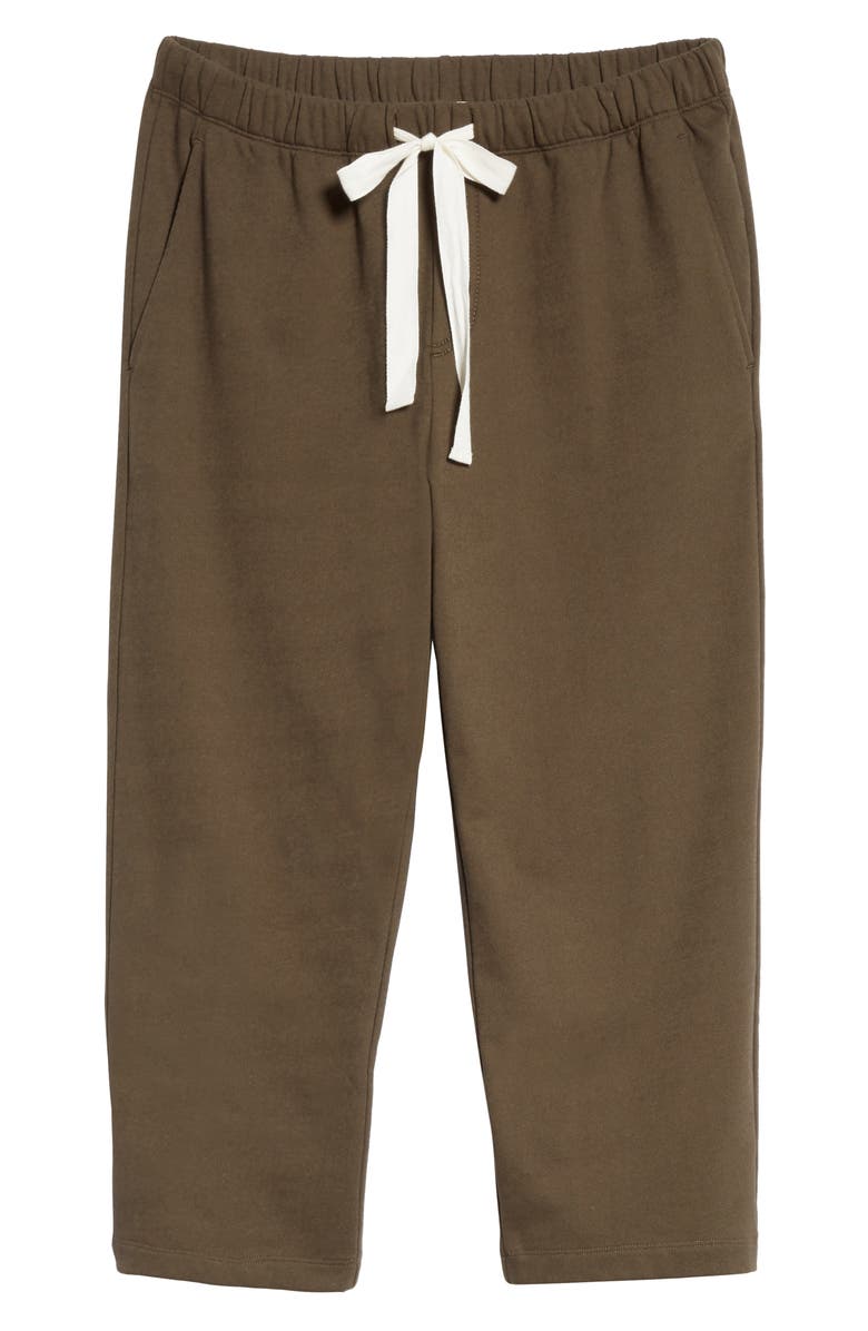 Eileen Fisher Slouchy Organic Cotton Terry Crop Pants, Main, color, 