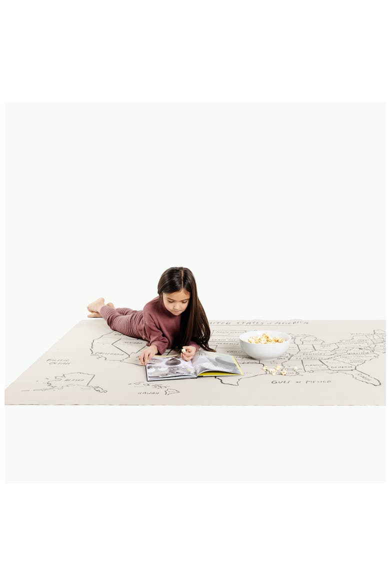 Large State Map Tapestry, Alternate, color, USA MAP