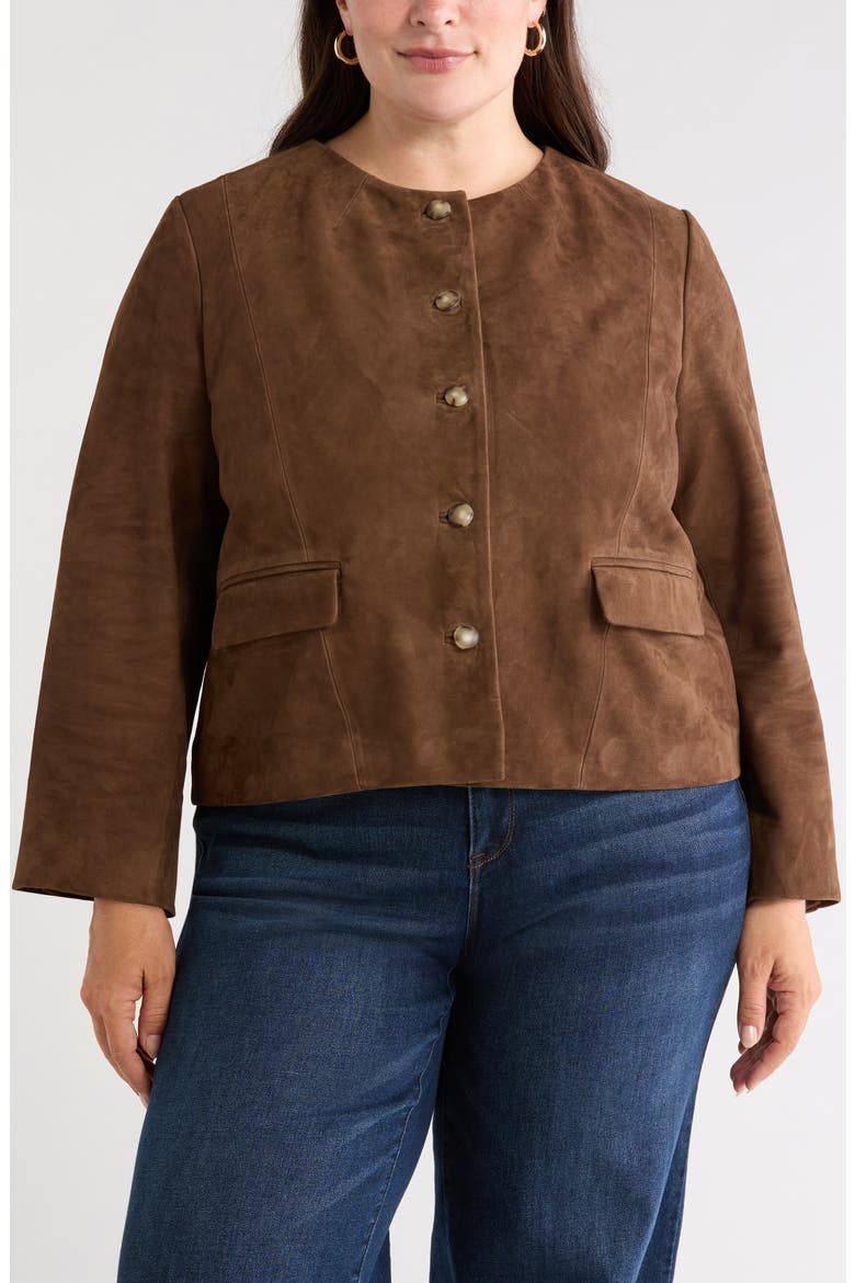 Suede Crop Button Front Jacket, Alternate, color, BROWN DRUM
